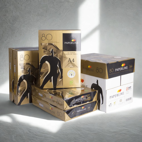 PaperLine 70 GSM A4 Paper Pack of 10 Reams, Premium Quality