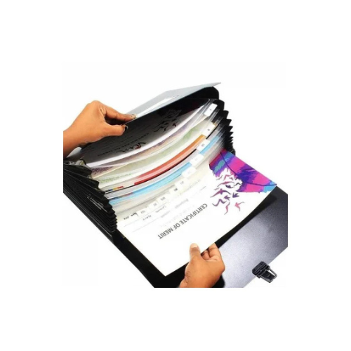 Expanding File Folder | A4 Letter Organizer with Handle | 13 Pockets | Pack of 1