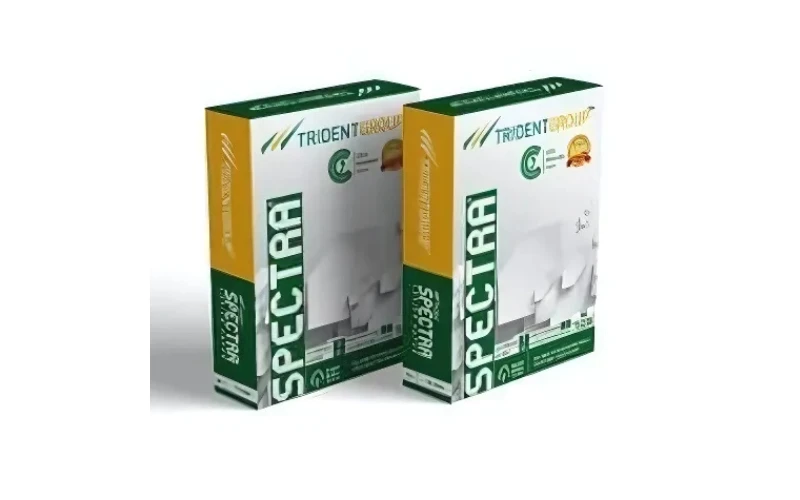 Spectra A4 75 GSM Paper Pack of 2 Reams